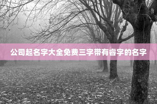 公司起名字大全免费三字带有睿字的名字