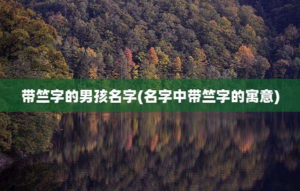 带竺字的男孩名字(名字中带竺字的寓意)