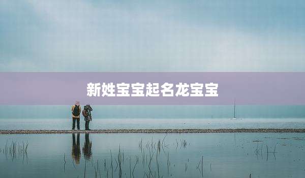 新姓宝宝起名龙宝宝