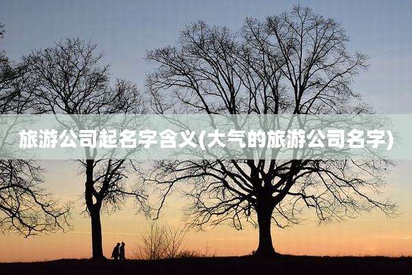 旅游公司起名字含义(大气的旅游公司名字)
