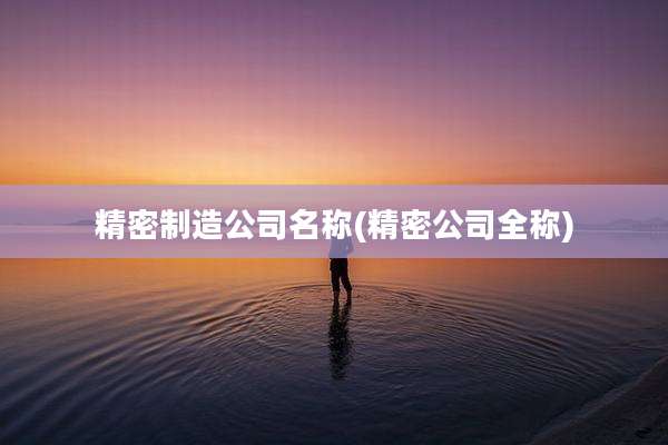 精密制造公司名称(精密公司全称)
