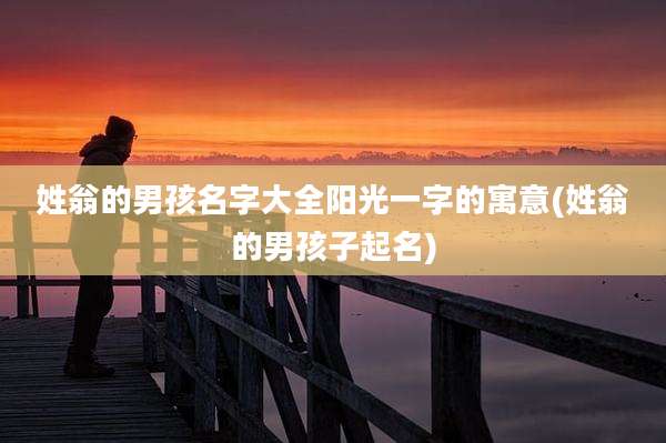 姓翁的男孩名字大全阳光一字的寓意(姓翁的男孩子起名)