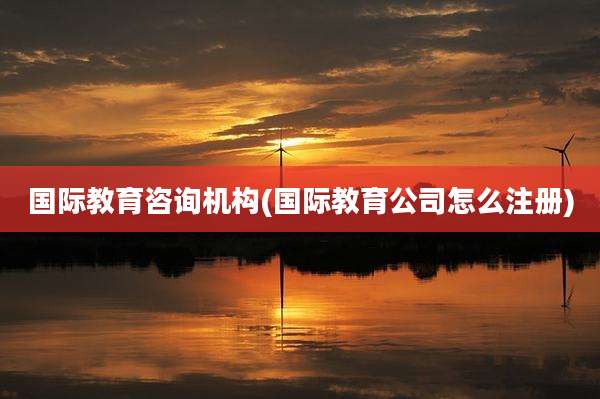 国际教育咨询机构(国际教育公司怎么注册)