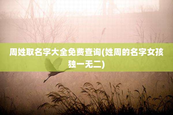 周姓取名字大全免费查询(姓周的名字女孩独一无二)