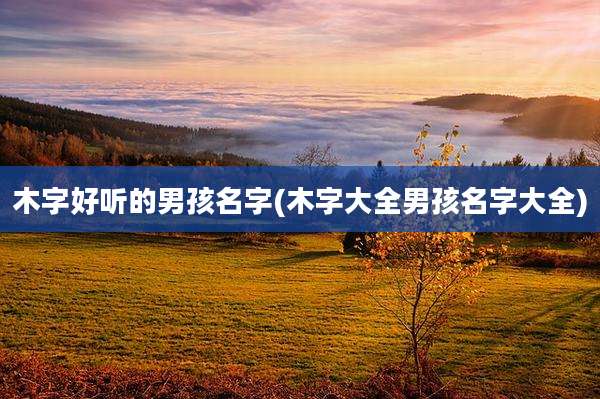 木字好听的男孩名字(木字大全男孩名字大全)