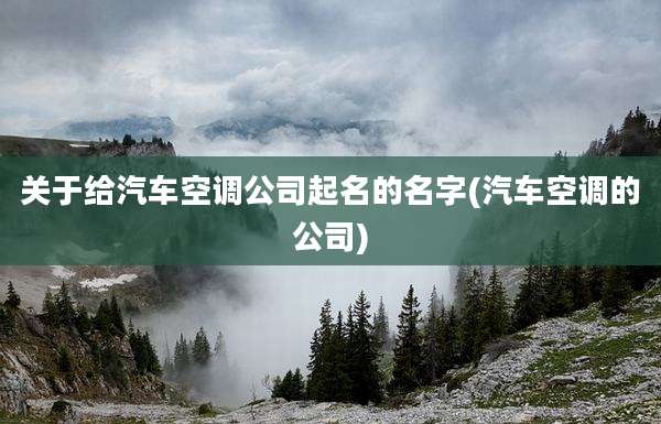 关于给汽车空调公司起名的名字(汽车空调的公司)