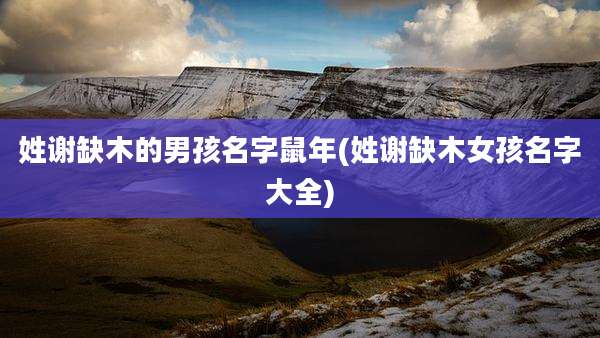 姓谢缺木的男孩名字鼠年(姓谢缺木女孩名字大全)