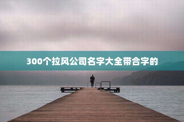 300个拉风公司名字大全带合字的