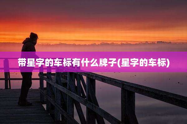 带星字的车标有什么牌子(星字的车标)