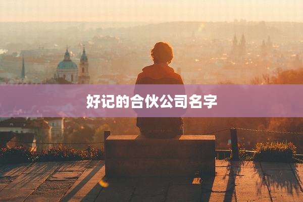 好记的合伙公司名字