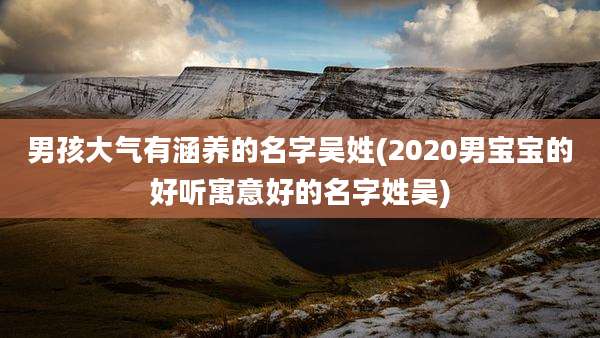 男孩大气有涵养的名字吴姓(2020男宝宝的好听寓意好的名字姓吴)