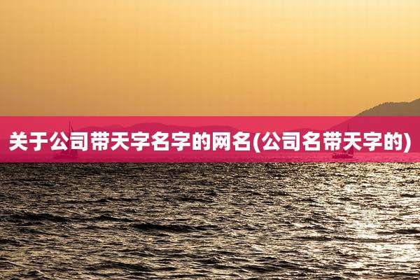 关于公司带天字名字的网名(公司名带天字的)