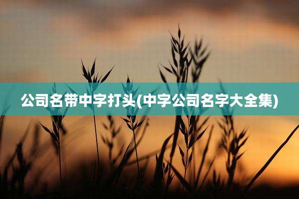公司名带中字打头(中字公司名字大全集)