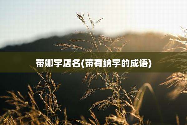 带娜字店名(带有纳字的成语)
