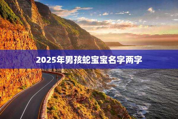 2025年男孩蛇宝宝名字两字