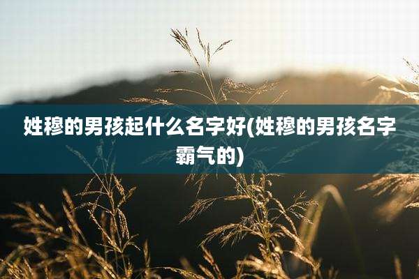 姓穆的男孩起什么名字好(姓穆的男孩名字霸气的)