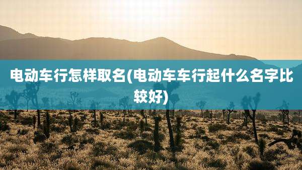 电动车行怎样取名(电动车车行起什么名字比较好)