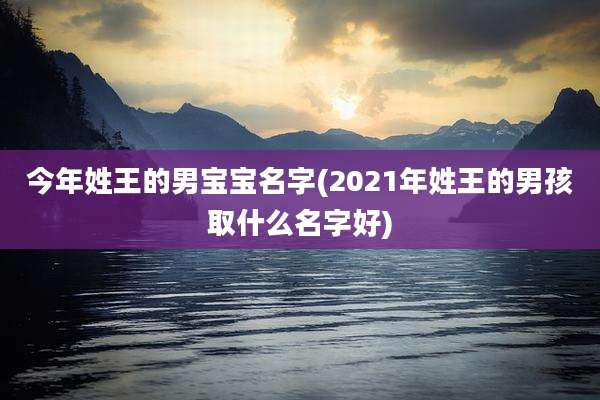 今年姓王的男宝宝名字(2021年姓王的男孩取什么名字好)