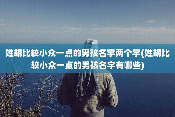 姓胡比较小众一点的男孩名字两个字(姓胡比较小众一点的男孩名字有哪些)