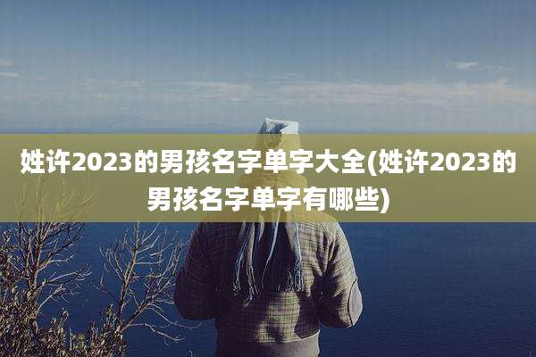 姓许2023的男孩名字单字大全(姓许2023的男孩名字单字有哪些)
