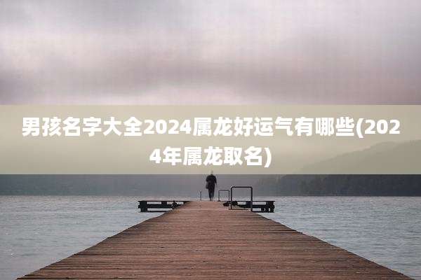 男孩名字大全2024属龙好运气有哪些(2024年属龙取名)
