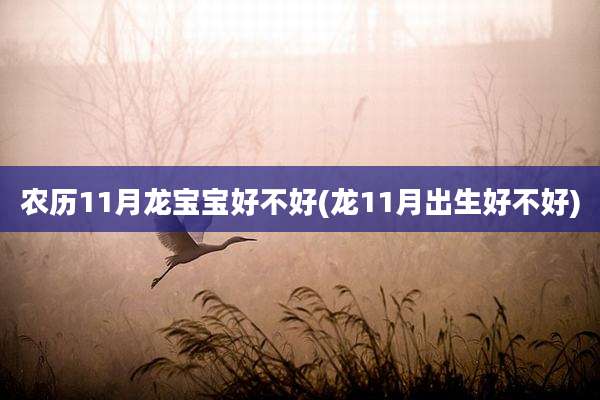 农历11月龙宝宝好不好(龙11月出生好不好)