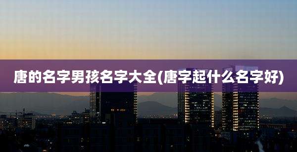 唐的名字男孩名字大全(唐字起什么名字好)