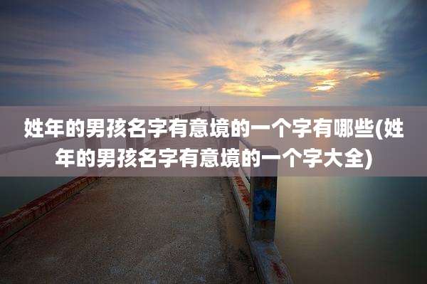 姓年的男孩名字有意境的一个字有哪些(姓年的男孩名字有意境的一个字大全)