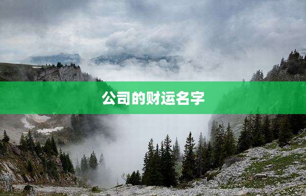 公司的财运名字