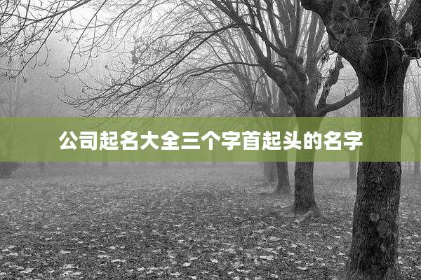 公司起名大全三个字首起头的名字