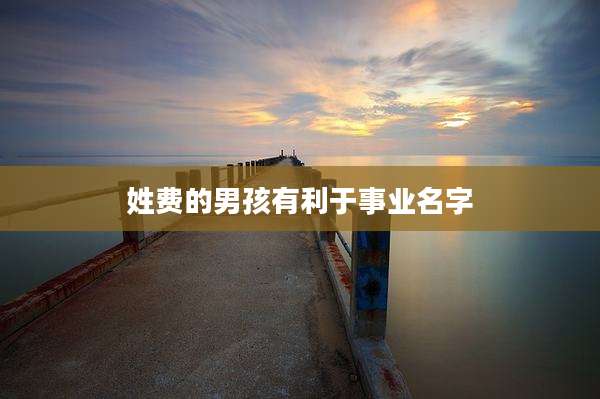 姓费的男孩有利于事业名字