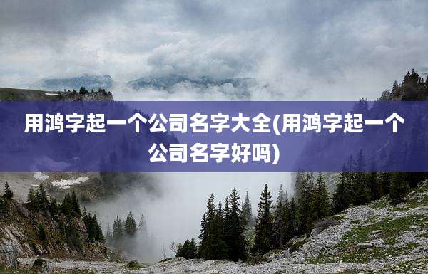 用鸿字起一个公司名字大全(用鸿字起一个公司名字好吗)