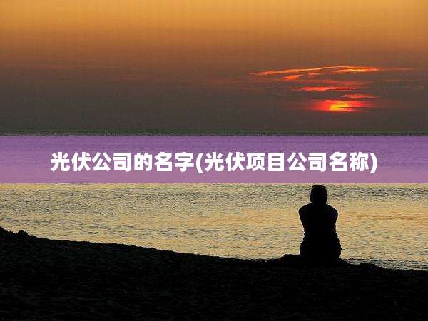 光伏公司的名字(光伏项目公司名称)