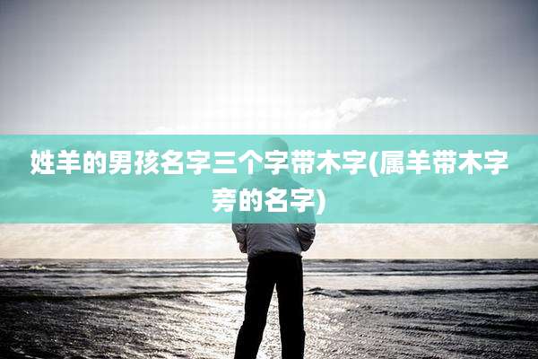 姓羊的男孩名字三个字带木字(属羊带木字旁的名字)