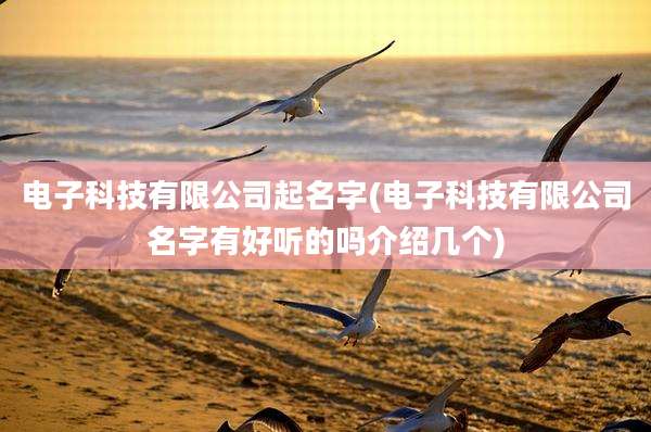 电子科技有限公司起名字(电子科技有限公司名字有好听的吗介绍几个)