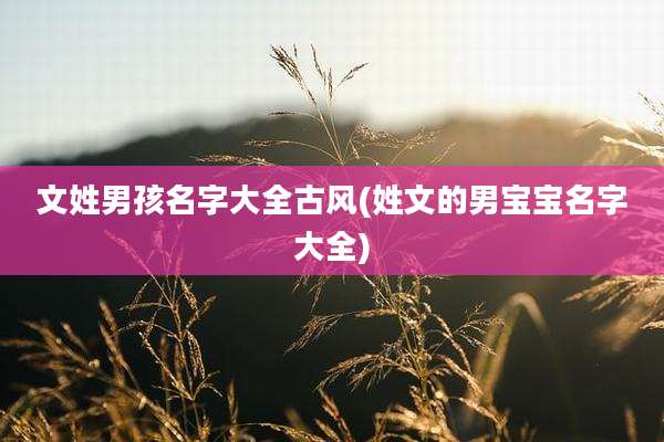 文姓男孩名字大全古风(姓文的男宝宝名字大全)