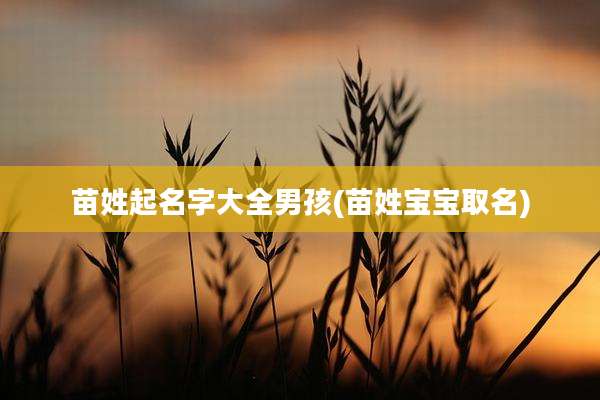 苗姓起名字大全男孩(苗姓宝宝取名)