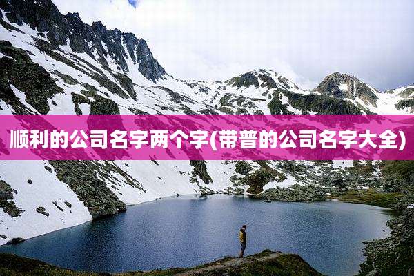顺利的公司名字两个字(带普的公司名字大全)