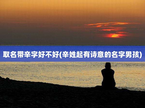 取名带辛字好不好(辛姓起有诗意的名字男孩)