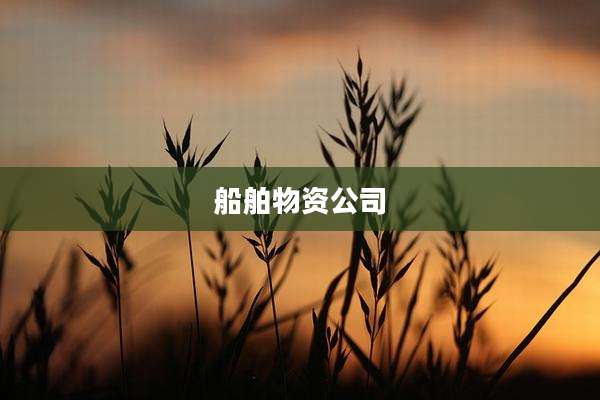 船舶物资公司