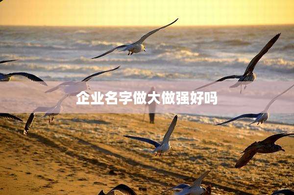 企业名字做大做强好吗