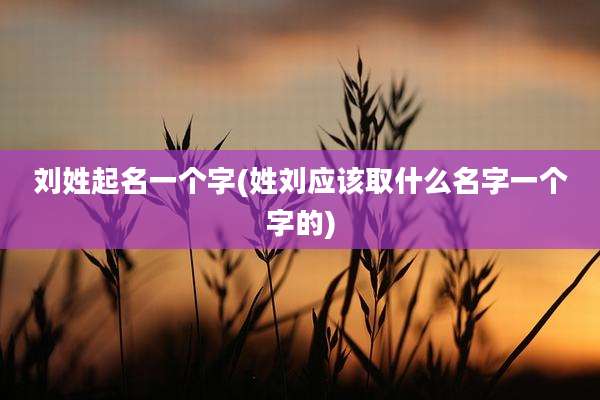 刘姓起名一个字(姓刘应该取什么名字一个字的)