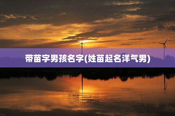 带苗字男孩名字(姓苗起名洋气男)