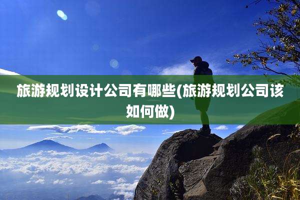 旅游规划设计公司有哪些(旅游规划公司该如何做)