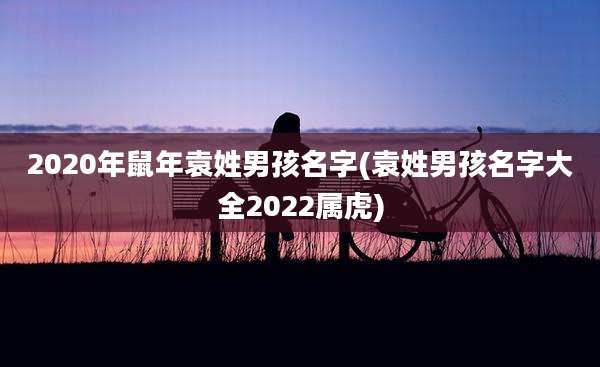 2020年鼠年袁姓男孩名字(袁姓男孩名字大全2022属虎)