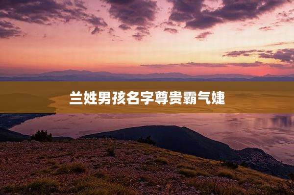 兰姓男孩名字尊贵霸气婕