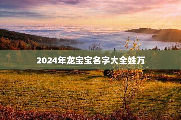 2024年龙宝宝名字大全姓万