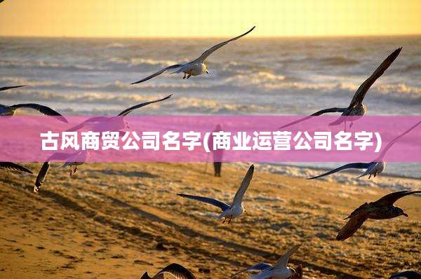 古风商贸公司名字(商业运营公司名字)