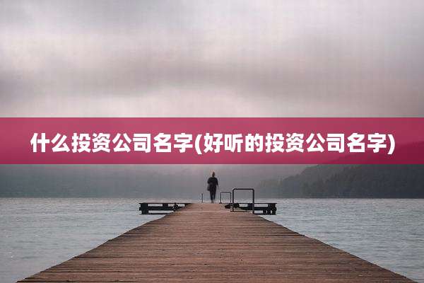 什么投资公司名字(好听的投资公司名字)