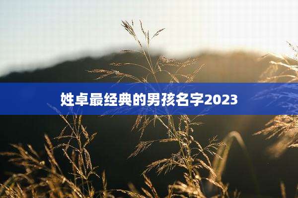 姓卓最经典的男孩名字2023